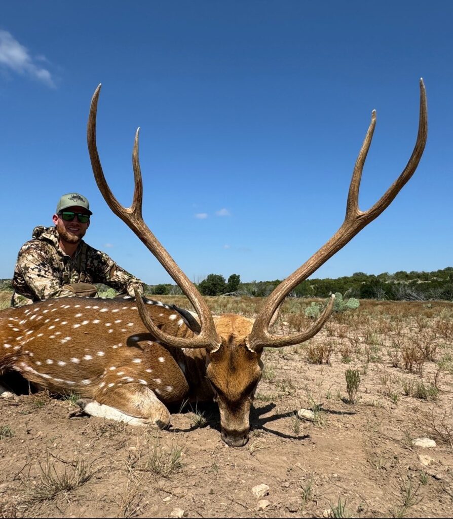 axis deer hunts in Texas